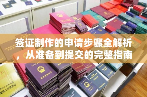 丛台签证制作的申请步骤全解析，从准备到提交的完整指南