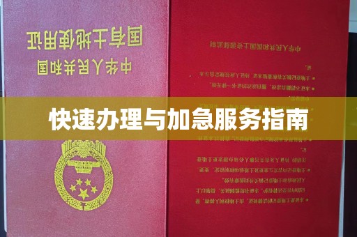 丛台快速办理与加急服务指南
