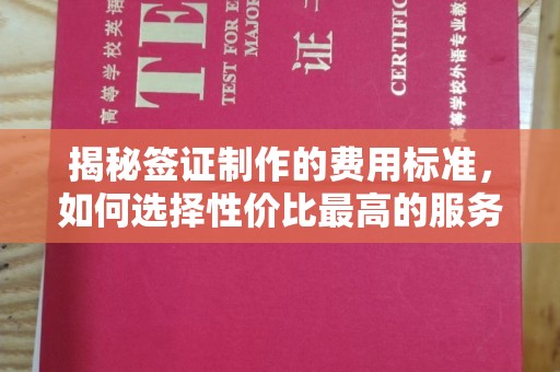 丛台揭秘签证制作的费用标准，如何选择性价比最高的服务？