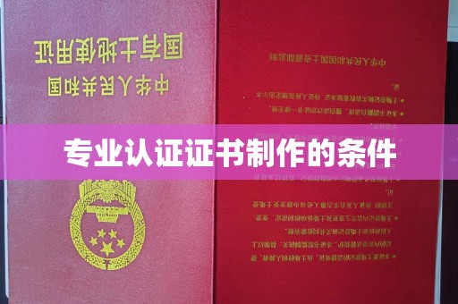 丛台专业认证证书制作的条件
