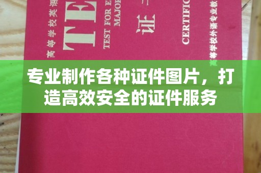 丛台专业制作各种证件图片，打造高效安全的证件服务
